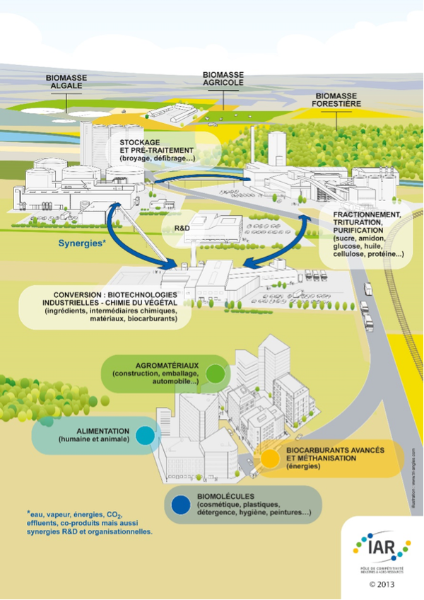 La Bioéconomie : De Quoi Parle-t-on ? - Think Tank Resources