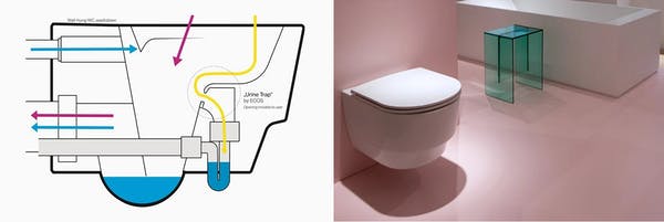 amniotic fluid in toilet