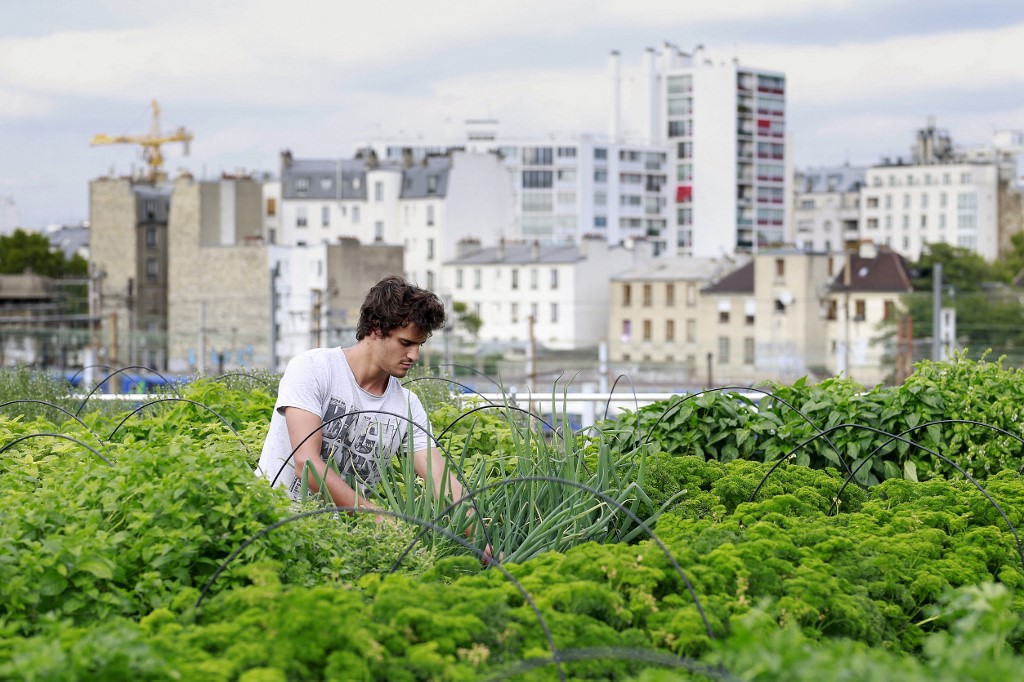 Ferme urbaine : tous les projets de Cultures en Ville